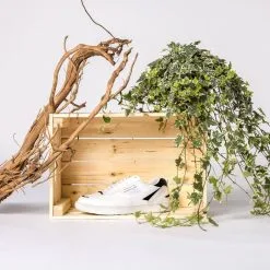 BEFLAMBOYANT Basket En Pet Recyclé - UX68 -Thinking Mu Soldes vegan shoes beflamboyant ux68 dot forest view